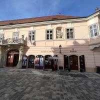 Eladó 38m² üzlet, Győr-Belváros (107210-thumb)